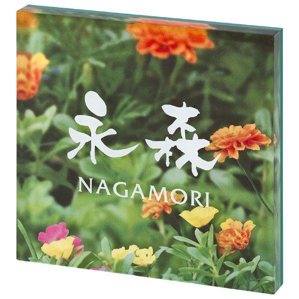 \D ˌ  AN\D PYS-6-6 zCg TCv[g l[v[g