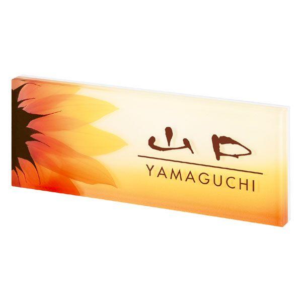 \D ˌ  AN\D PYS-8-8 uE TCv[g l[v[g