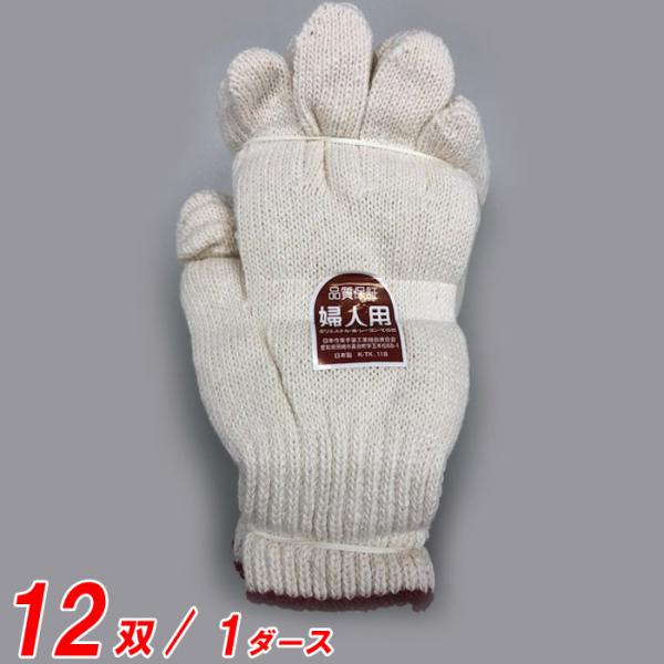 R Ǝ Y wlp #71 550g TV 12o(1)P  GW |GXe  ̑ }LR  |GXe ̑ {