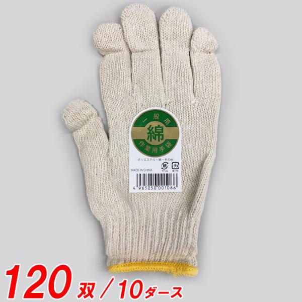 R Ǝ ȃS #109 600g Li 120o(10)P  F CG[ |GXe  ̑ }LR  |GXe ̑ {