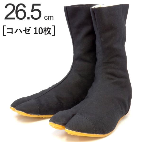   n ͉ t@C^[ 10Rn[  ubN 26.5cm 1P ^r Dt \D D fo y y S ۈ pi 