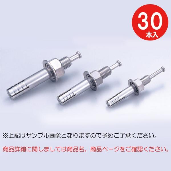 �A���J�[�{���g �A���J�[�Z�b�g �X�e�����X �R���N���[�g ���[�e�B�[�A���J�[ SC-1260 SC�^�C�v 30�{�P�� �S�_�ō��� M12×�S��60mm