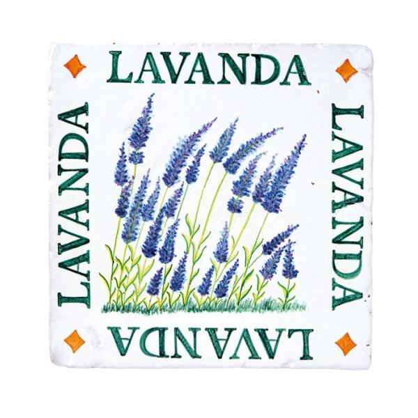 ^C  diy O eRb^n֖d eBsJ XpjbV fUC^C `^C x_[ PP diy ʑ fGȊG