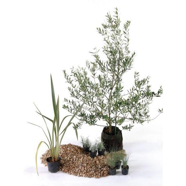 hC Ȃ ZbgAbvK[f n[u A c  Zbgi