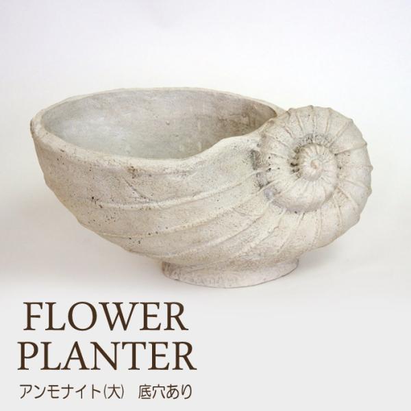 プランター 植木鉢 貝型鉢 アンモナイト大 フラワーベース 底穴あり レジン 貝モチーフ 鉢 オーナメント オシャレ Y0198 Mrt エストアガーデン 通販 Yahoo ショッピング