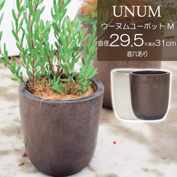 v^[ Aؔ ꌊ E[k [|bg v^[ zCg uY MTCY 29.5cm K[fjO |pi