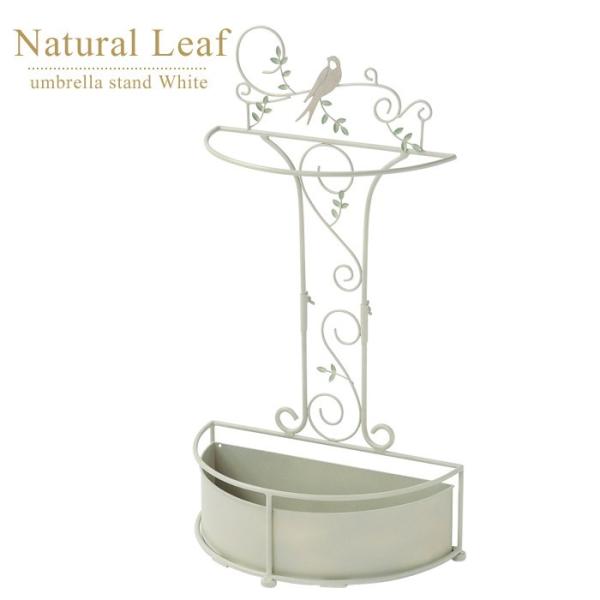 P  AuX^h Vr[VbN i` [tƃco AC{[ AeB[N K[fjOG