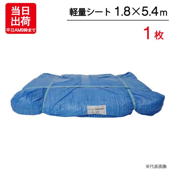 ブルーシート 1.8×5.4m 輸入 軽量シート 1枚単位 ハトメ付 レジャー シート 敷物 ござ 災害 台風 防災 養生 対策 運動会 行楽 花見 海水浴 キャンプ テント