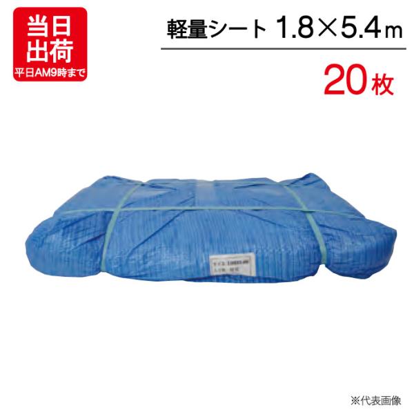 ブルーシート 1.8m×5.4m 輸入 軽量シート 20枚単位 ハトメ付 レジャー シート 敷物 ござ 災害 台風 防災 養生 対策 運動会 行楽 花見 海水浴 キャンプ テント