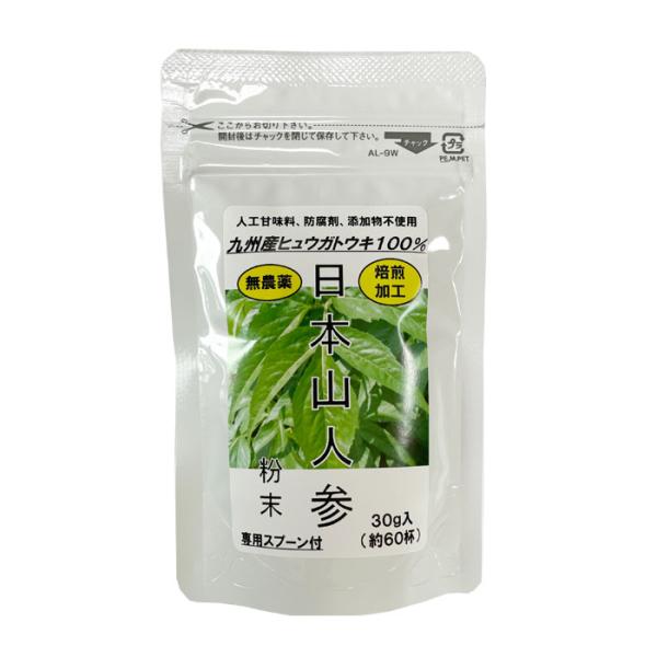 日本山人参粉末 30g 専用スプーン付 国産ヒュウガトウキ乾燥粉末 健康食品茶 イワイ薬局 （メール便・お試し最適）