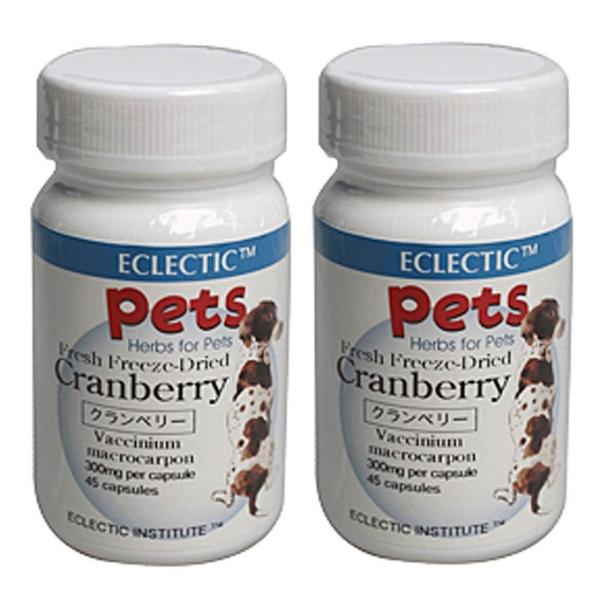 Nx[ FFD 300mg 45JvZ 2Zbg ECLECTIC for Pets GNNeBbN ybgpn[uTvg