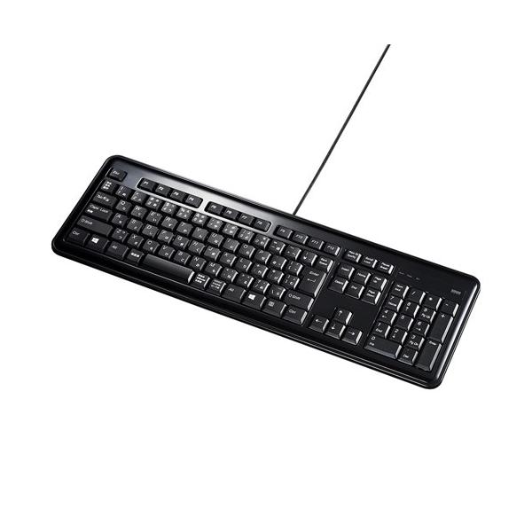 【訳あり新品理由】※パッケージ不良（多少の汚れや、つぶれあり）USB2.0ハブを2ポート内蔵したスリムキーボード。テンキー付き。ブラック。