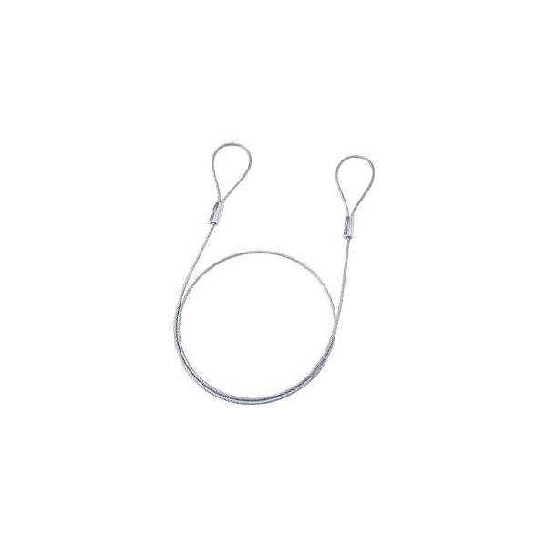 訳あり新品 eセキュリティ ワイヤー 長さ1.0m 径3.5mm SLE-1W-1 サンワサプライ ネコポス対応 外装にキズ、汚れあり