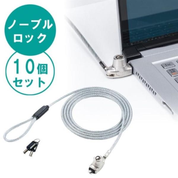 イーサプライ セキュリティワイヤー 10個セット ノーブルロック イーサプライ セキュリティワイヤー 10個セット ノーブルロック