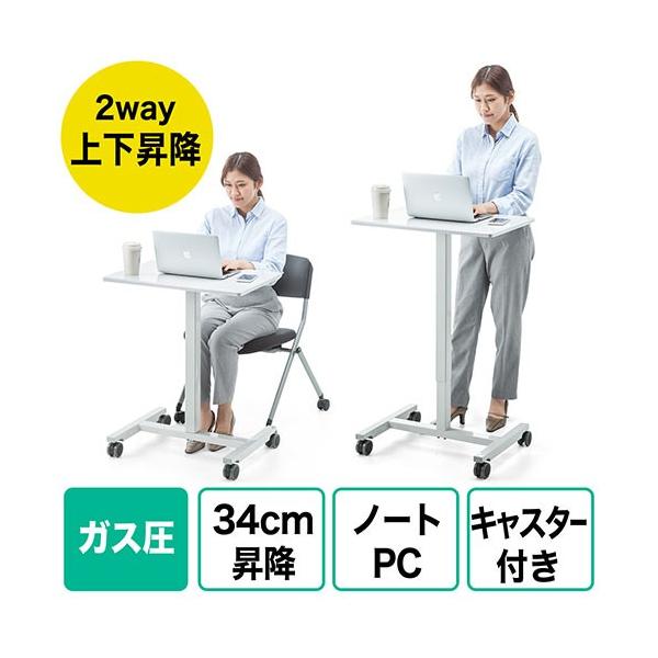 ~fXN ㉺~ KX LX^[t ~34cm 62cmEs43cm zCg EZ1-ERD007W