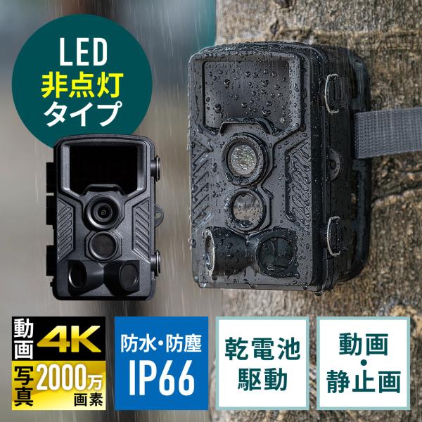 SANWA SUPPLY 防犯カメラ 屋外 トレイルカメラ ループ録画 4K