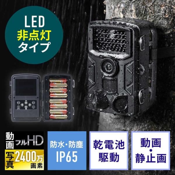 SANWA SUPPLY 防犯カメラ 屋外 トレイルカメラ フルHD 害獣対策 SANWA SUPPLY 防犯カメラ 屋外 トレイルカメラ フルHD 害獣対策
