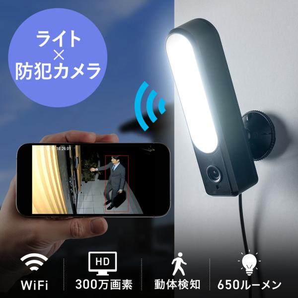 SANWA SUPPLY（サンワサプライ） 防犯カメラ ネットワークカメラ 屋外