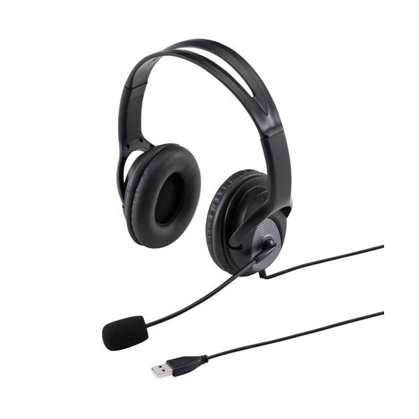 【アウトレット理由】※パッケージ不良（開封・潰れ・汚れなど）大型ソフトイヤーパッドで装着感に優れたUSBヘッドセット。ブラック。