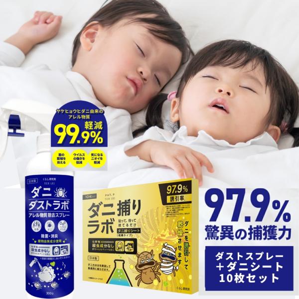 【本日10％OFF 】 ダニ捕りラボ シート だに取り 対策 退治 駆除 防ダニ 10枚入り 乾燥タイプ スプレーセット