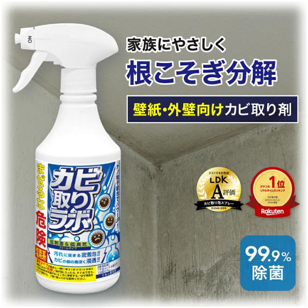 カビ取りスプレー カビ取りラボ ストロングタイプ フォームタイプ カビ取り剤 カビ カビ防止 防カビ お風呂掃除