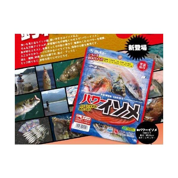 マルキュー(MARUKYU) パワーイソメ(中) 赤イソメ