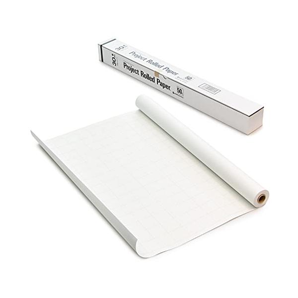 オキナ プロジエクトロール 50mm方眼 白 30m巻 PR5WH