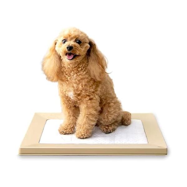 他サイト： アイリスオーヤマ 犬 トイレ しつけ おしゃれ スクエアドッグトレー 挟むだけ マグネット レギュラー ライトグレー 水洗い可の商品画像