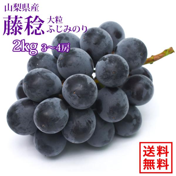 【8月23日〜発送開始】2ｋg 3〜4房 山梨県産 藤稔 ふじみのり ぶどう 種なし 大粒 高級 贈答用 フルーツ 葡萄 ギフト 産地直送 甘い クール便無料 送料無料