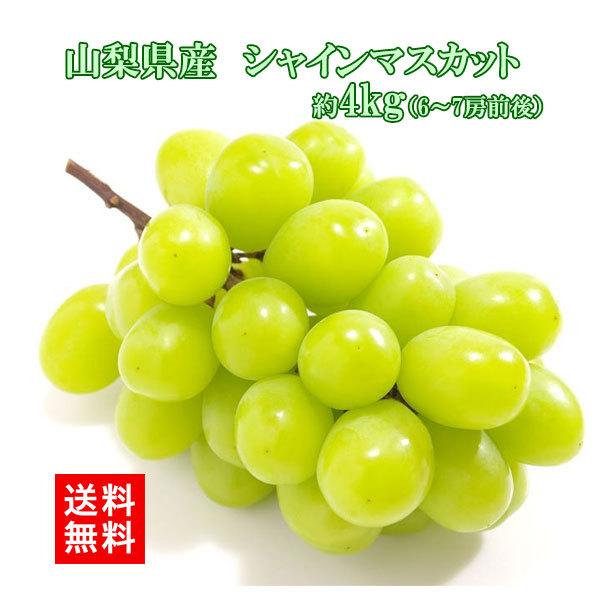 予約受付中！ 9月下旬頃より発送】シャインマスカット 山梨県産 4kg 6