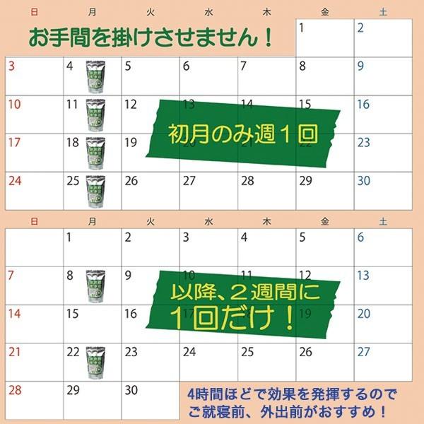 eterno-beauty_et0367-1800_4