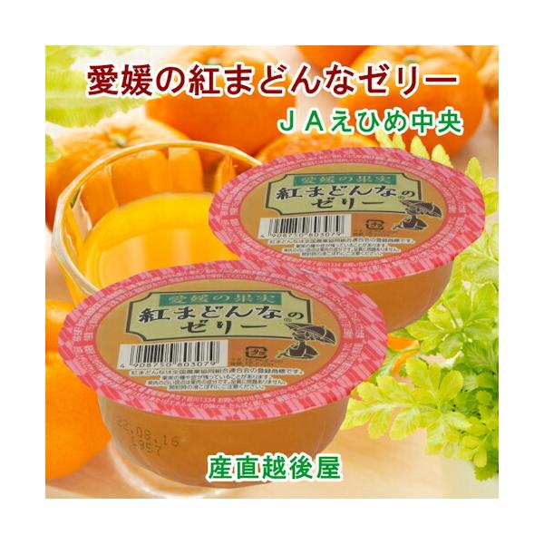 愛媛県の農協 JAえひめ中央 愛媛の果実 紅まどんなカップゼリー 紅ま