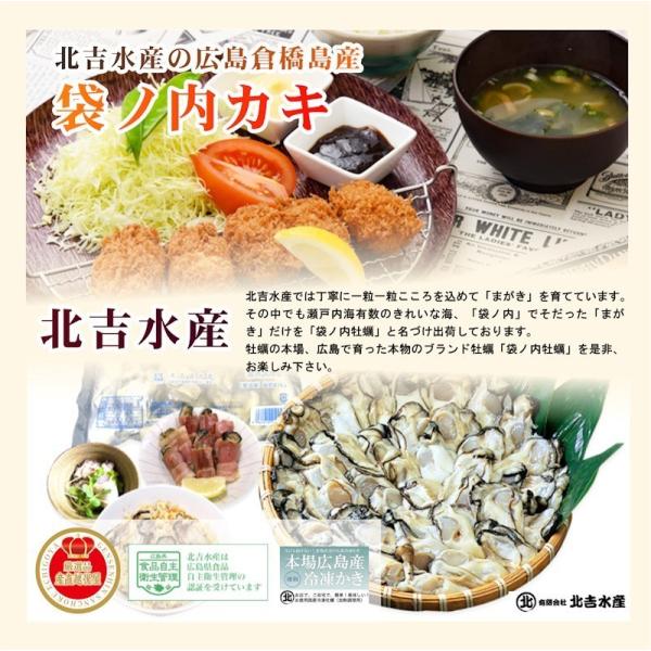 魚介類 水産加工品 貝類 カキ 広島県 呉市 広島カキの老舗 北吉水産の冷凍殻付きカキ 6個入 2パック かき 送料無料 Kitayosi Re2k 産直越後屋 通販 Yahoo ショッピング