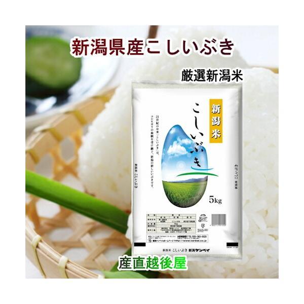 令和８年産 新米 新潟県産 新潟県産 新潟米 こしいぶき5kg ＪＡ農協米 新潟ケンベイ産 送料無料【米 こしひかり ギフト グルメ】