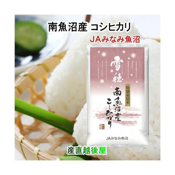 コシヒカリ 令和6年産 南魚沼産 コシヒカリ5kg 雪穂 新潟県 コシヒカリ 令和6年産 南魚沼産 コシヒカリ5kg 雪穂 新潟県