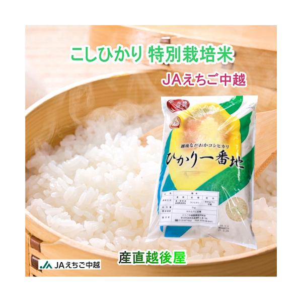また様精米　新潟コシヒカリ 30kg　令和６年産 新米新潟産令和6年産従来コシヒカリ精米30キロ