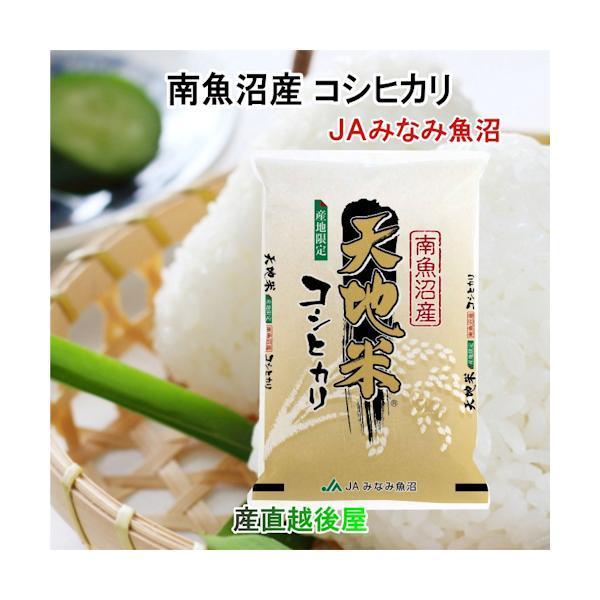 令和５年産 コシヒカリ 10kg 玄米 特Ａ地区 魚沼産 新潟県 南魚沼 JA