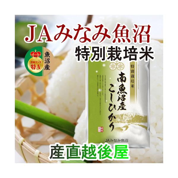 魚沼産 コシヒカリ 30kgの人気商品・通販・価格比較 - 価格.com 魚沼産 コシヒカリ 30kgの人気商品・通販・価格比較 - 価格.com