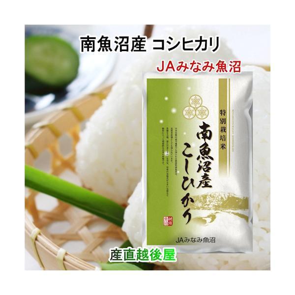 令和４年産 新米 魚沼産コシヒカリ（訳あり）１０㎏ ※特Ａ地区※送料