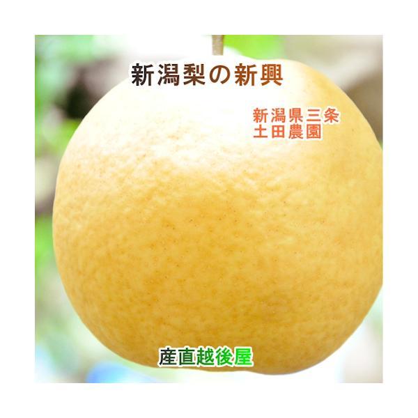 【お渡し日11月上旬〜11月下旬】●土田農園は新潟県三条市で親子３代約90年間新潟県で梨園を営んでいる古くからの梨専業農家で、エコファーマー認定農園です。●土田農園では肥沃な土壌に加え、堆肥・40年間変わらぬ上質な有機質肥料を惜しみなく使う...