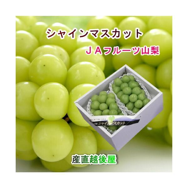 山梨県産シャインマスカット⭐️贈答用JA共選品⭐️8房入り箱込み約5.7キロ 楽天市場】【送料無料】シャインマスカット 2kg箱 (3〜4房) 山梨