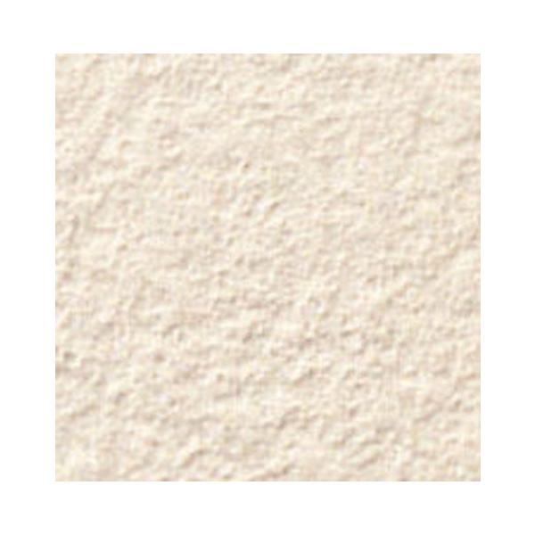 ARfBG 100mmplbg ADG-100NETM/201@/ LIXIL INAX O^C ֏ O