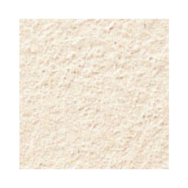 ARfBG 100mmplbg ADG-100NETM/202@/ LIXIL INAX O^C ֏ O