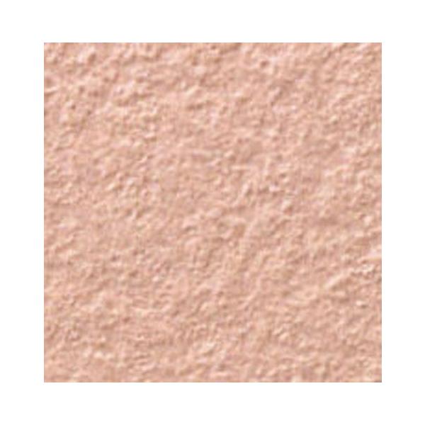 ARfBG 100mmpti@ ADG-101M/242@/ LIXIL INAX O^C ֏ O