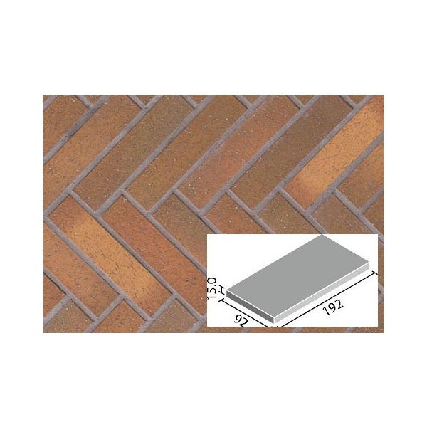 パティーノ 200×100mm角平(バラ) PTI-210/4　/ LIXIL INAX 外装床タイル 玄関床 屋外床