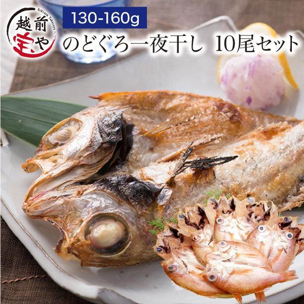 Ε 2025 Mtg ̂ǂ  @130-160g×10 mhO Y ((Ⓚ)) v[g j j lC 50 60