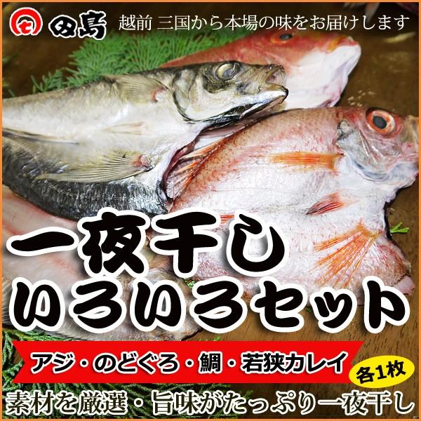一夜干し いろいろセット アジ のどぐろ 鯛 若狭カレイ 各1枚 福井県三国港 越前名産ひもの 敬老の日 ギフト 冷凍 Hm004 美国特産 越前海鮮本舗 田島家 通販 Yahoo ショッピング