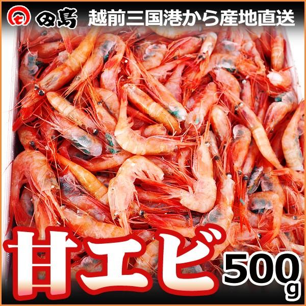 甘エビ 500g 濃厚な旨み 越前甘えび 福井県三国港から産地直送 御歳暮 ギフト 冷凍 S001 美国特産 越前海鮮本舗 田島家 通販 Yahoo ショッピング