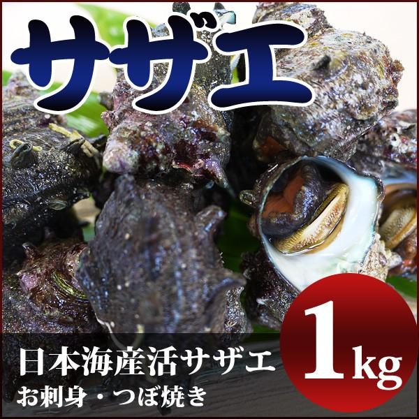 サザエ 1kg 約10個 新鮮 海の幸 活さざえ お刺身 つぼ焼き 日本海で獲れたサザエを活きたままお届け 御歳暮 ギフト 冷蔵 S002 美国特産 越前海鮮本舗 田島家 通販 Yahoo ショッピング