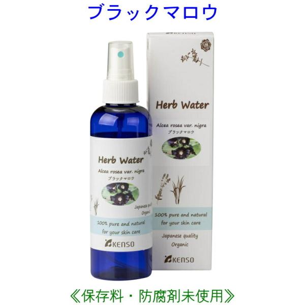 ubN}EEH[^[ 200ml 10222 ubN}E EH[^[ F w KENSO P\[ n[uEH[^[